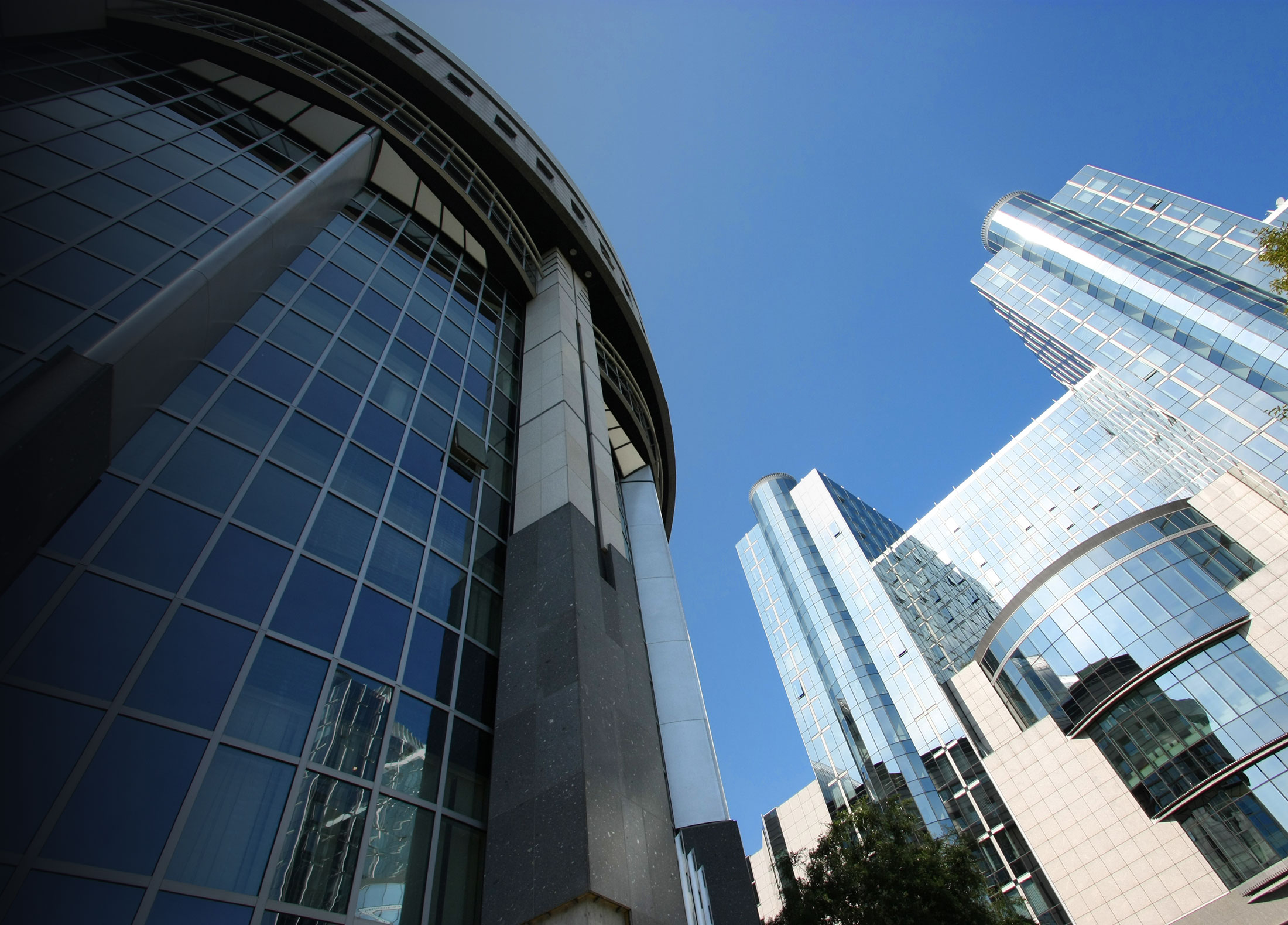 banner-image
